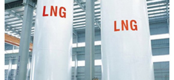 Asian LNG Demand Uncertain, Says IEA Analyst