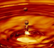 EVN plants to face tough period with oil firing