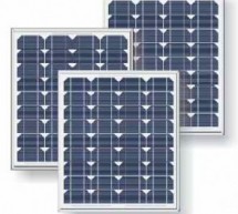 Chinese Solar Companies Feel Impact of Suntech Bankruptcy