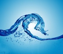 BHEL Ranipet Looking to Enter the Water Business