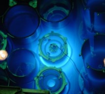 First Chinese Built Reactor Taishan 2 Ready