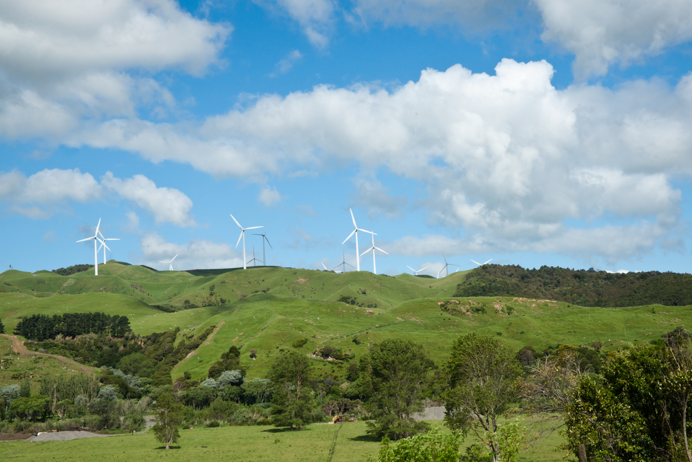Genesis Energy Wins Approval for New Zealand’s Largest Wind Farm