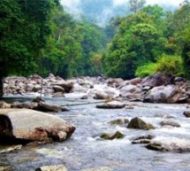 Are Dams threatening a way of life in Mekong Countries?