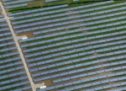 BayWa r.e. completes construction and sale of first South Korean solar project