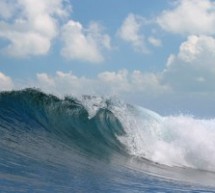 Eco Wave Power sign 50MW Vietnam Project